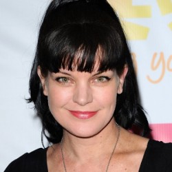 PAULEY PERRETTE